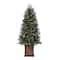 4.5ft. Pre-Lit Brookdale Fir Artificial Potted Christmas Tree, Color Changing T5 LED Lights